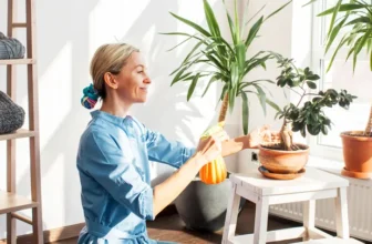 How Feng Shui Principles Can Improve Your Home’s Energy