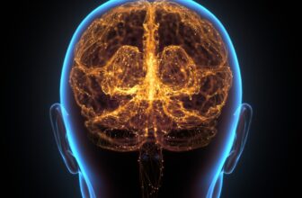 Three Easy Workouts That Boost Brain Cell Growth, According to a Neuroscientist