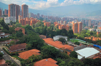 Cities Are Planting Cooling Forests to Fight Heatwaves — And the Results Are Transforming Urban Life