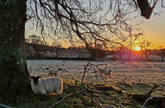 Off-Grid & Remote Adventures: Escaping the Noise to Rediscover the Wild