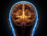 Three Easy Workouts That Boost Brain Cell Growth, According to a Neuroscientist