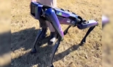 To Aid Antarctic Research, Six-Legged Robot Dog Passes Tests